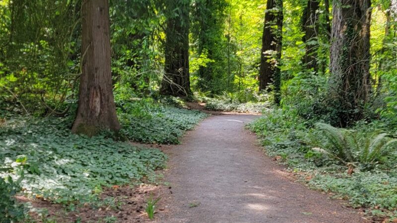 Memorial Dog Park - Wilsonville, OR