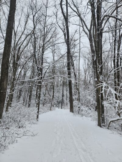 Norwalk River Valley Trail (Skunk Lane Entrance) - Wilton, CT