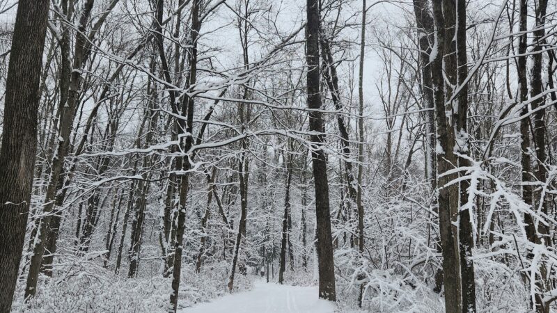 Norwalk River Valley Trail (Skunk Lane Entrance) - Wilton, CT