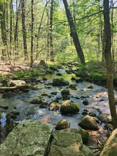 Quarry Head Park - Wilton, CT