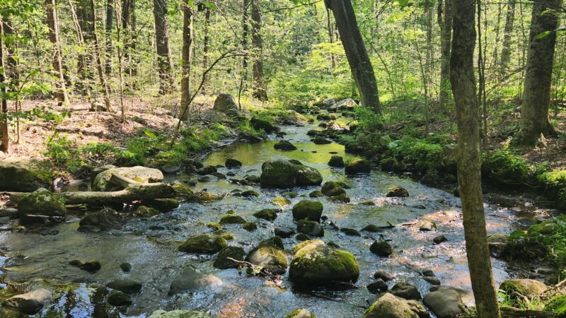 Quarry Head Park - Wilton, CT