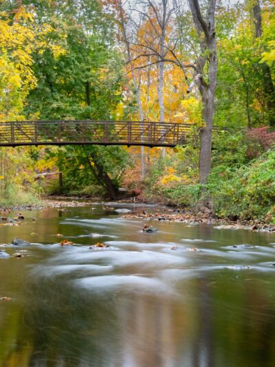 Schenck's Island - Wilton, CT