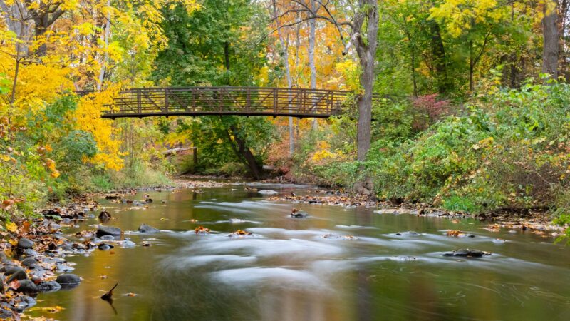 Schenck's Island - Wilton, CT