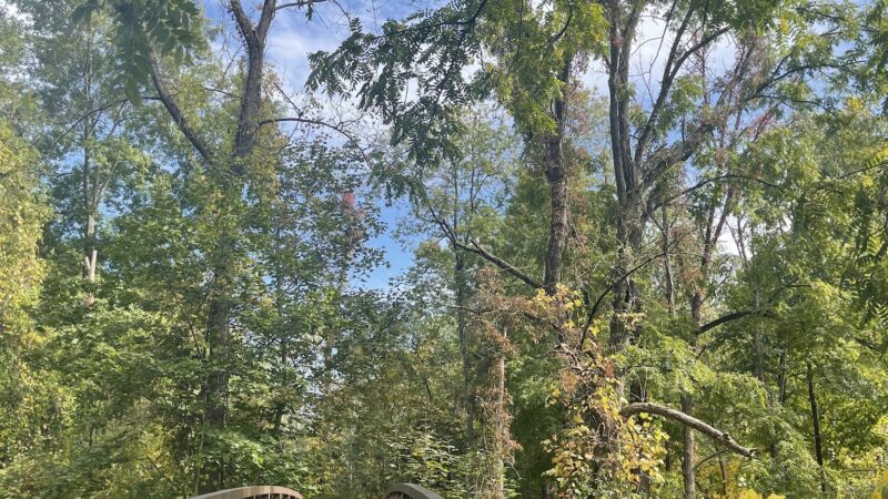 Schenck's Island - Wilton, CT