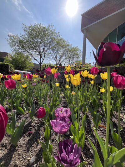 Wilton River Park - Wilton, CT