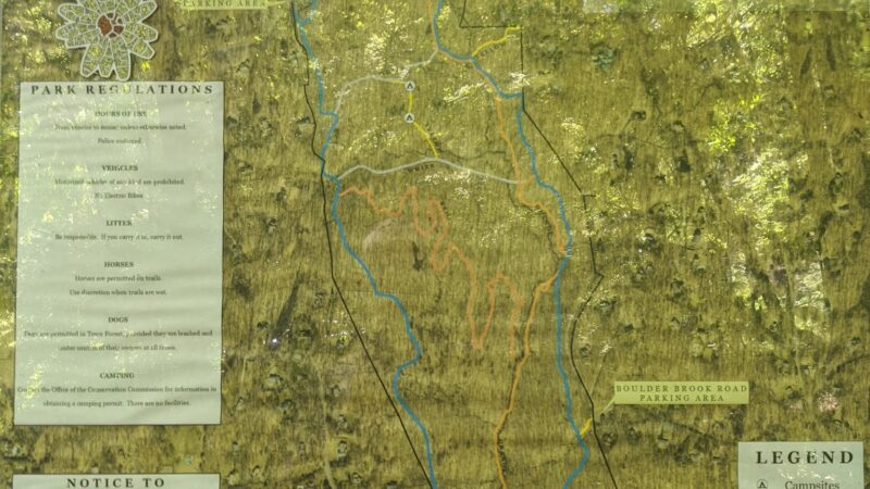 Wilton Town Forest - Wilton, CT
