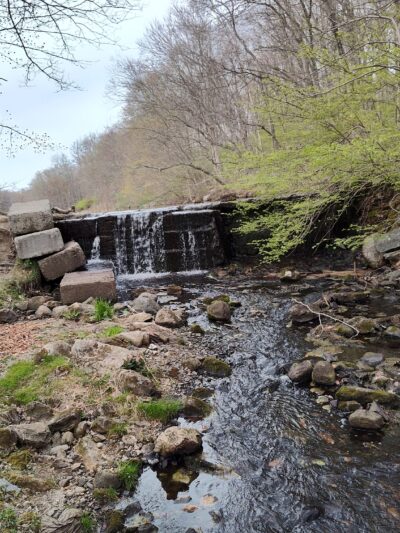 Woodcock Nature Center - Wilton, CT