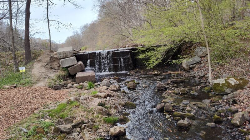 Woodcock Nature Center - Wilton, CT