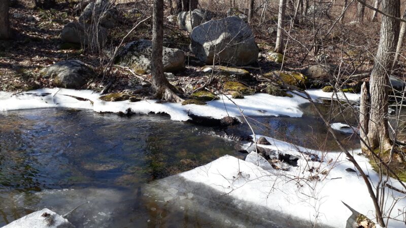 Woodcock Nature Center - Wilton, CT