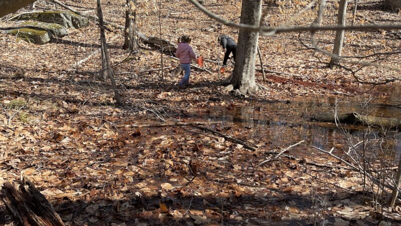 Woodcock Nature Center - Wilton, CT