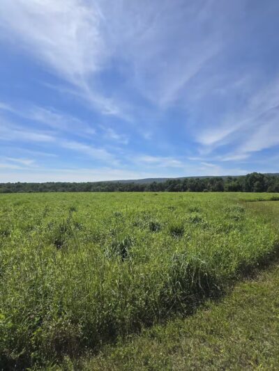 Bushkill Township Trail - Wind Gap, PA