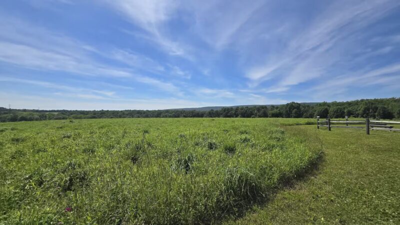 Bushkill Township Trail - Wind Gap, PA