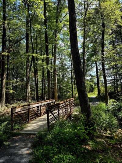Bushkill Township Trail - Wind Gap, PA