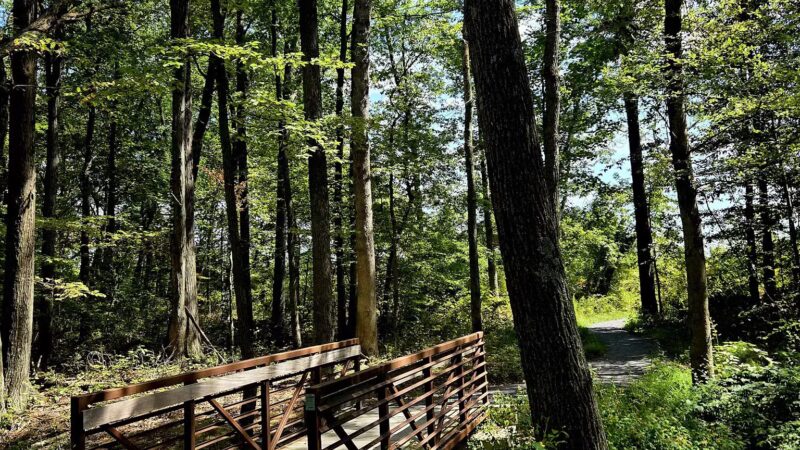 Bushkill Township Trail - Wind Gap, PA