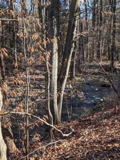 Bushkill Township Trail - Wind Gap, PA