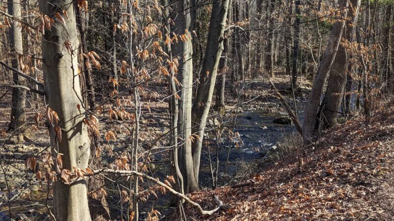 Bushkill Township Trail - Wind Gap, PA