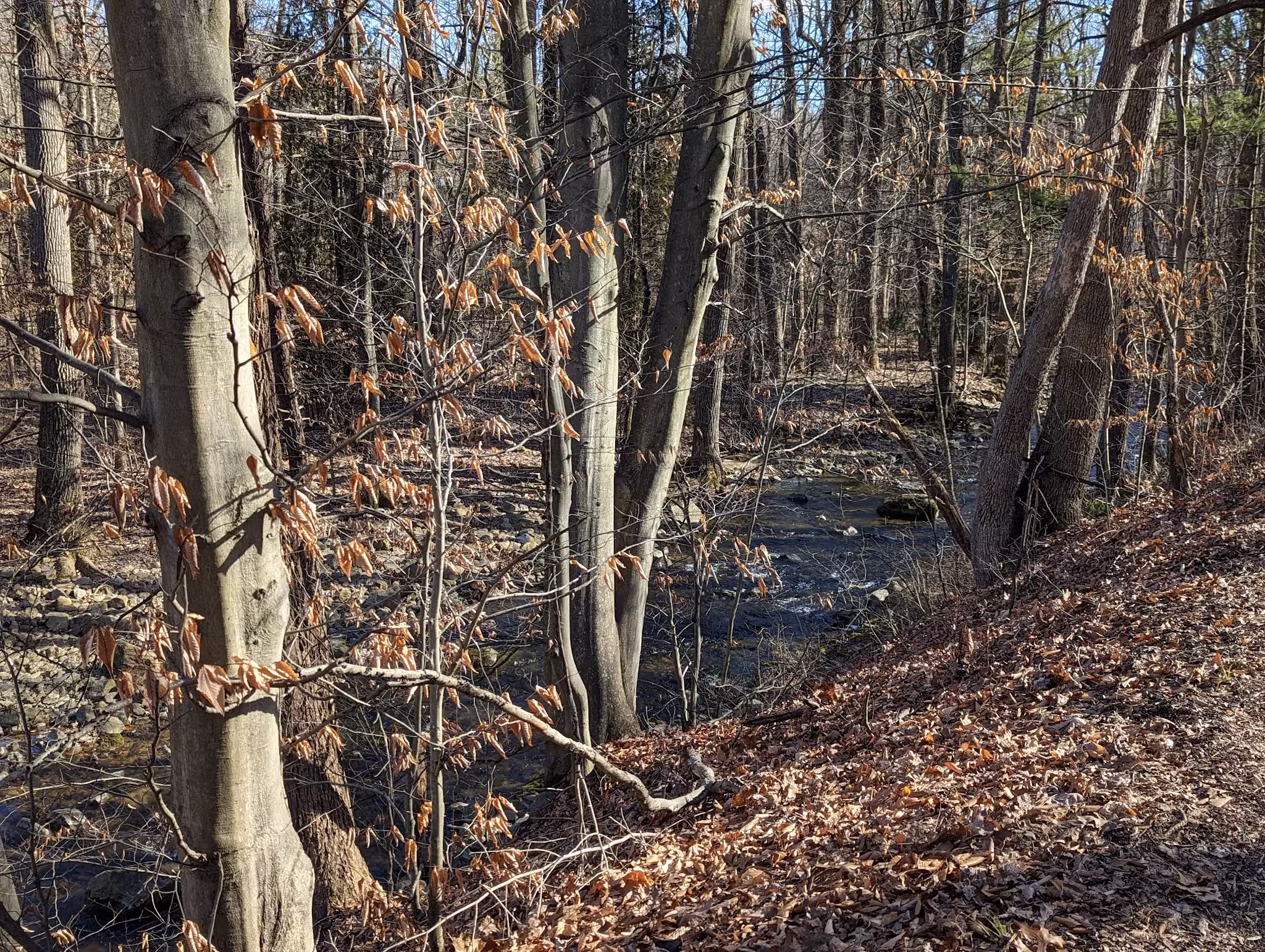 Bushkill Township Trail - Wind Gap, PA