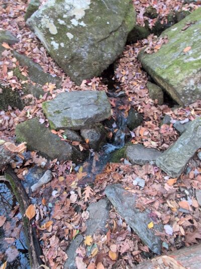 Katellen Trailhead - Wind Gap, PA