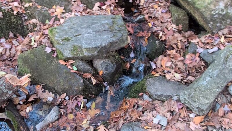 Katellen Trailhead - Wind Gap, PA