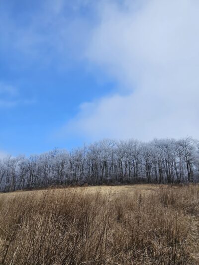 Katellen Trailhead - Wind Gap, PA