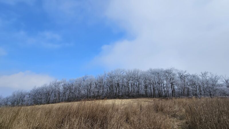 Katellen Trailhead - Wind Gap, PA