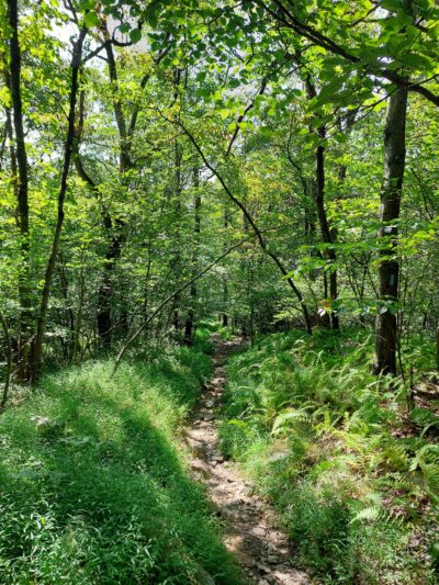 Katellen Trailhead - Wind Gap, PA