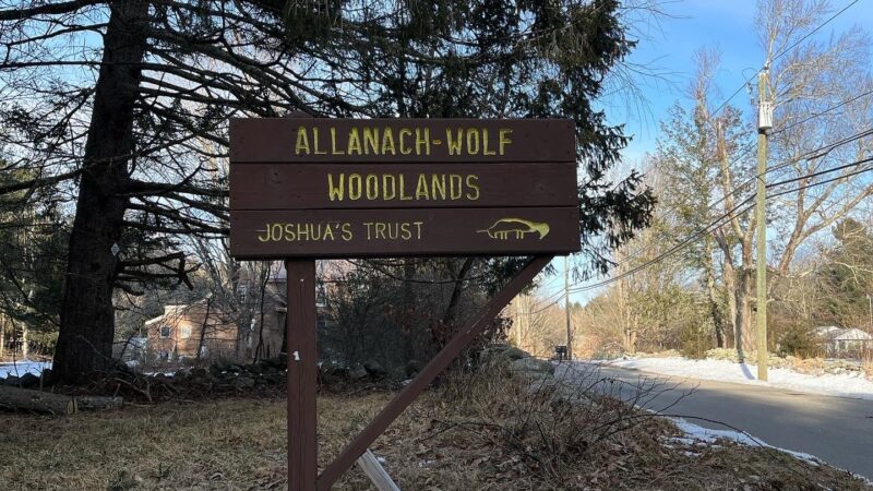 Allanach-Wolf Woodlands - Windham, CT