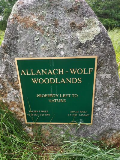 Allanach-Wolf Woodlands - Windham, CT