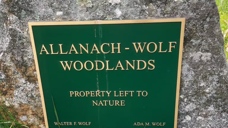 Allanach-Wolf Woodlands - Windham, CT