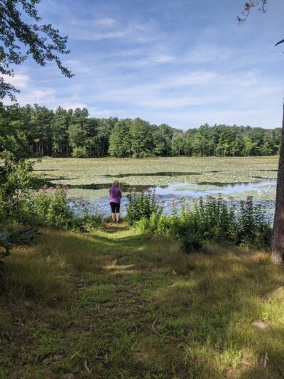 Allanach-Wolf Woodlands - Windham, CT