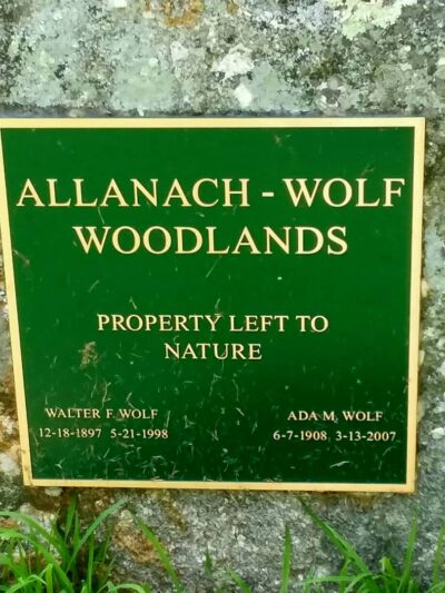 Lake Marie - Windham, CT