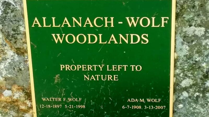 Lake Marie - Windham, CT