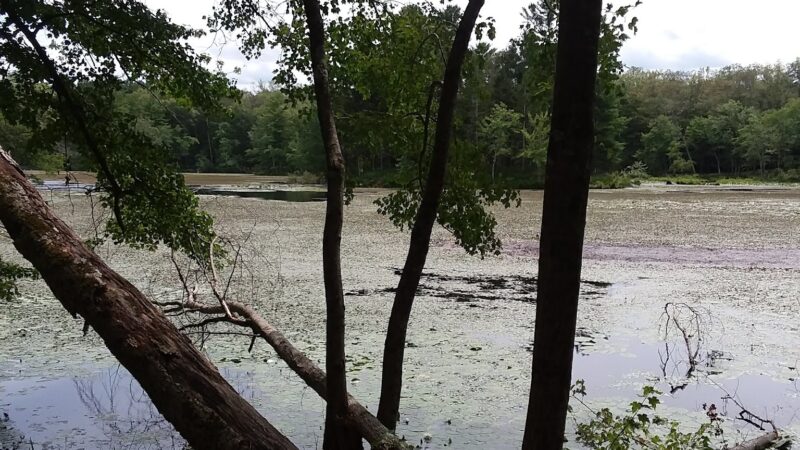 Lake Marie - Windham, CT