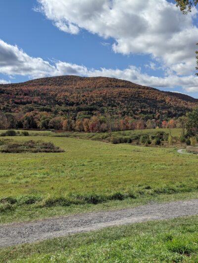 The Windham Path - Windham, NY