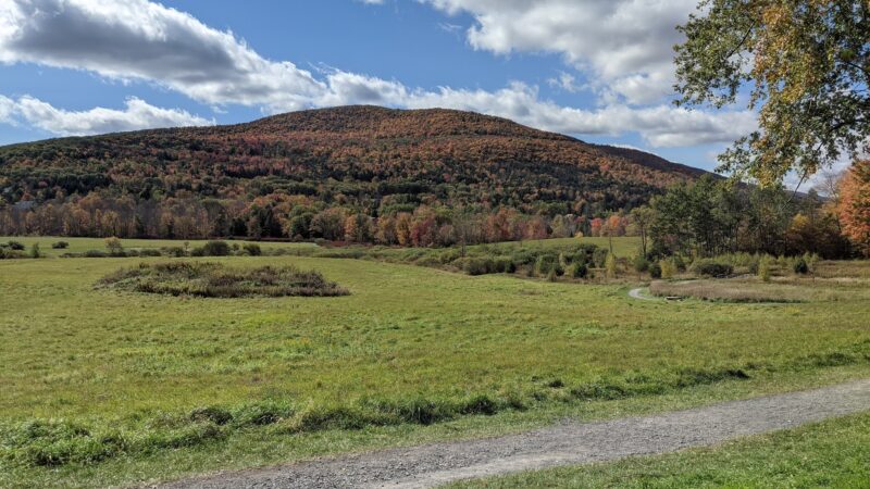 The Windham Path - Windham, NY