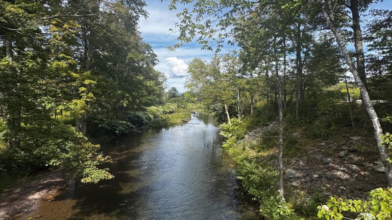 The Windham Path - Windham, NY