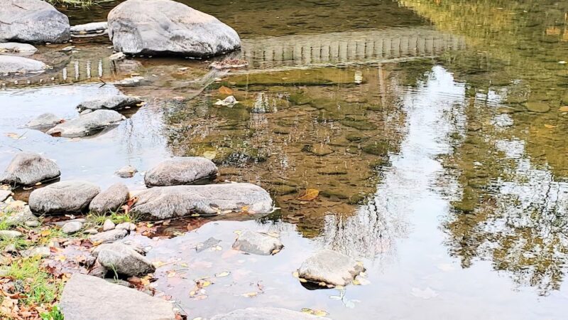 Windham Creamery Pond Park - Windham, NY
