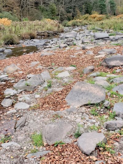 Windham Creamery Pond Park - Windham, NY