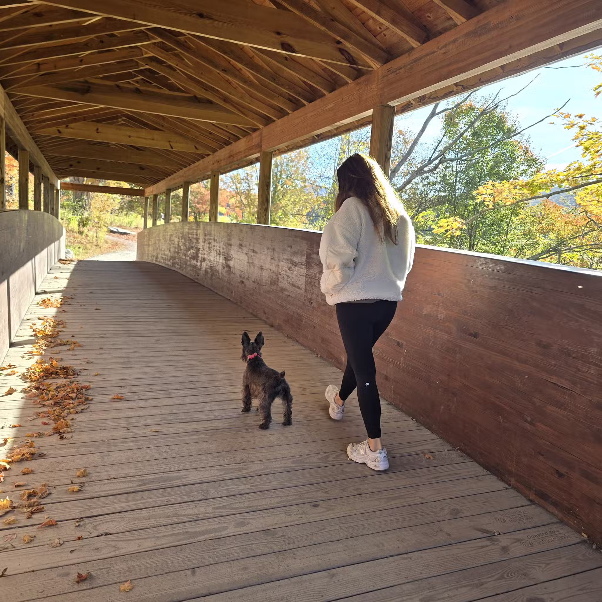 Windham Path 296 Parking - Windham, NY