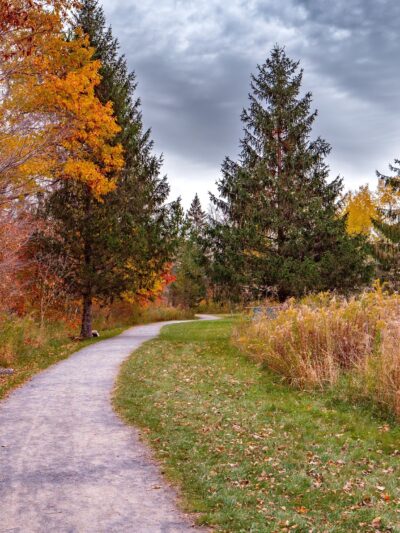 Windham Path 296 Parking - Windham, NY