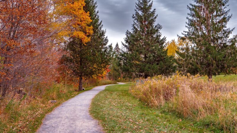 Windham Path 296 Parking - Windham, NY
