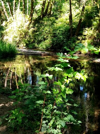 Winolequa Memorial Park - Winlock, WA