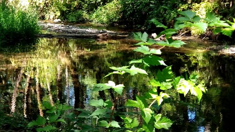 Winolequa Memorial Park - Winlock, WA