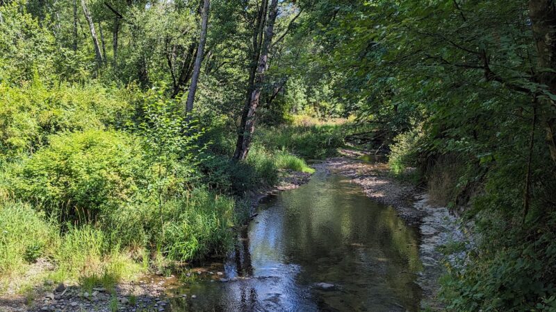 Winolequa Memorial Park - Winlock, WA