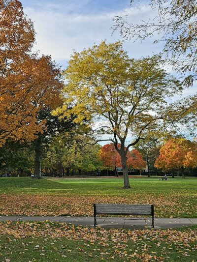 Centennial Park - Winnetka, IL