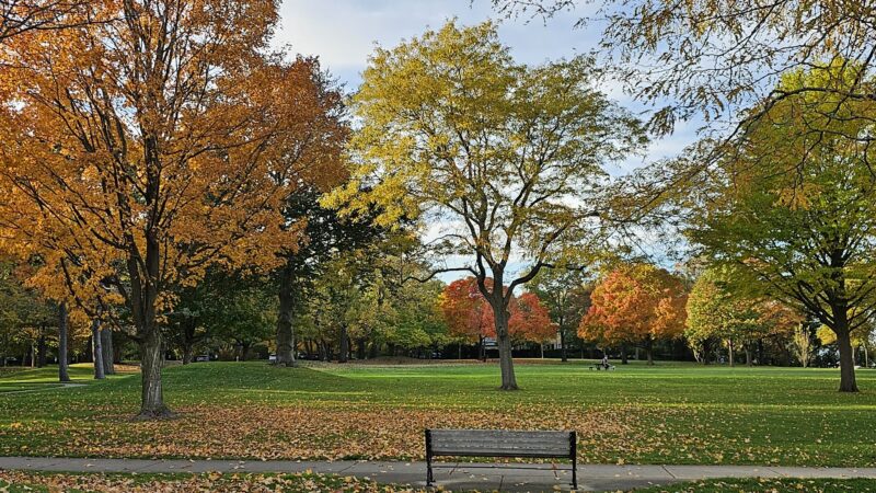 Centennial Park - Winnetka, IL