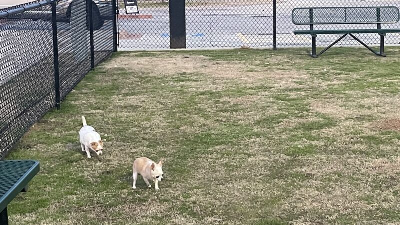 Dog Park at Love's Travel Stops - Winona, TX
