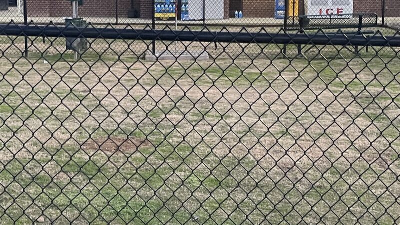 Dog Park at Love's Travel Stops - Winona, TX