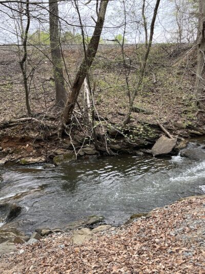 Greenway Park - Winston-Salem, NC