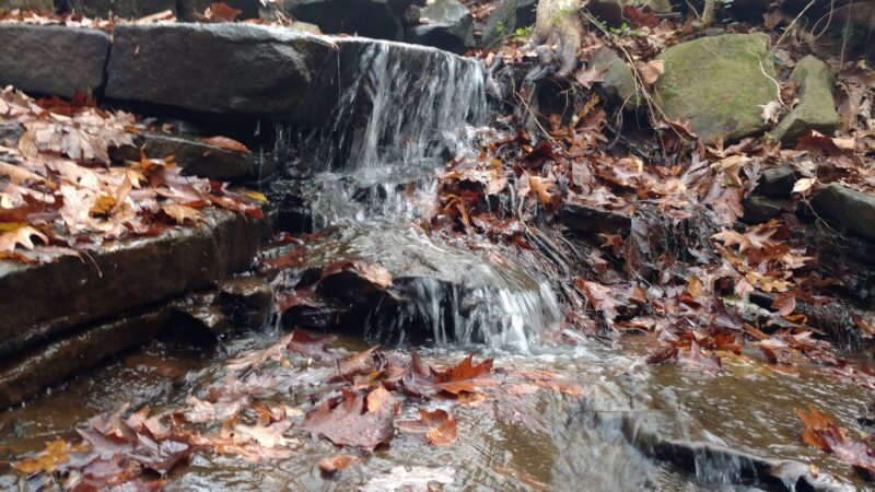 Hobby Park - Winston-Salem, NC